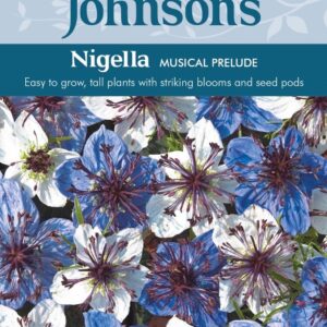 007240-Naesa-mustkoeoemen-Love-in-a-Mist-Musical-Prelude