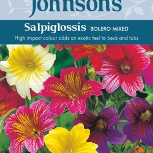 113989-Trompetilill-Bolero-Mixed