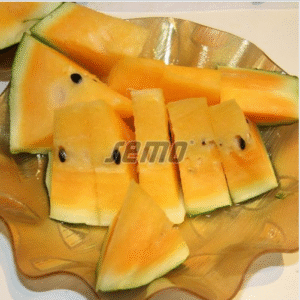 Arbuus-Primaorange-3