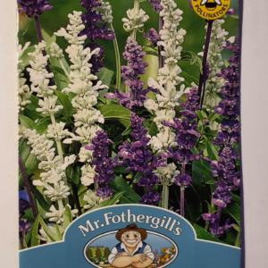 salvei-blue-white-170749