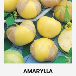 Mehhiko füüsal /Tomatillo 'AMARYLLA ®' 0,2g