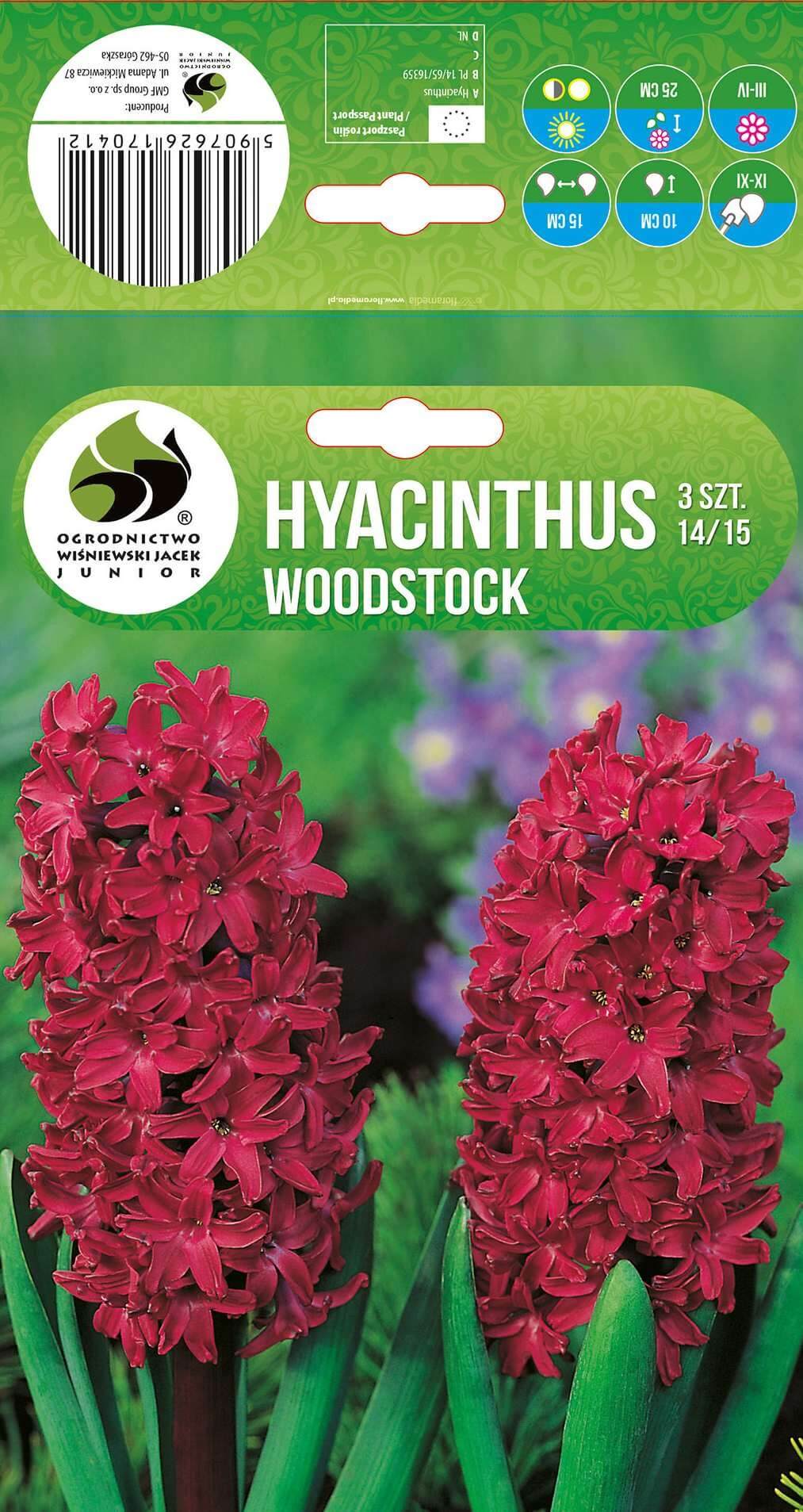 Hüatsint 'WOODSTOCK' 3tk 14/15