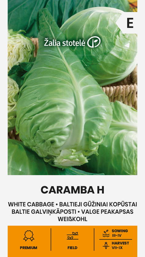 Teravatipuline kapsas 'CARAMBA H' 20s