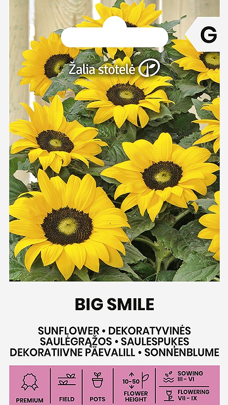 Päevalill 'BIG SMILE' 20s